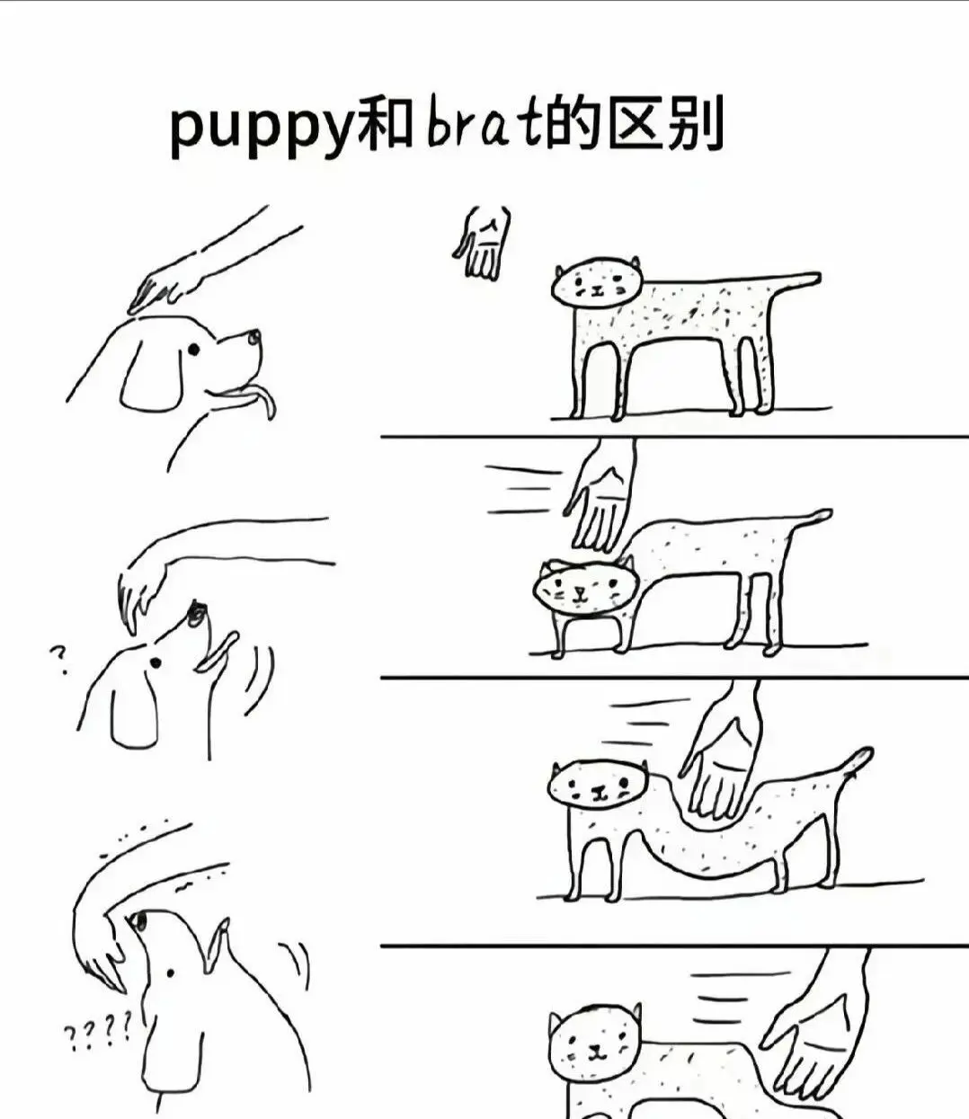 西檬之家-字母圈TK是什么？BDSM新人入圈指南