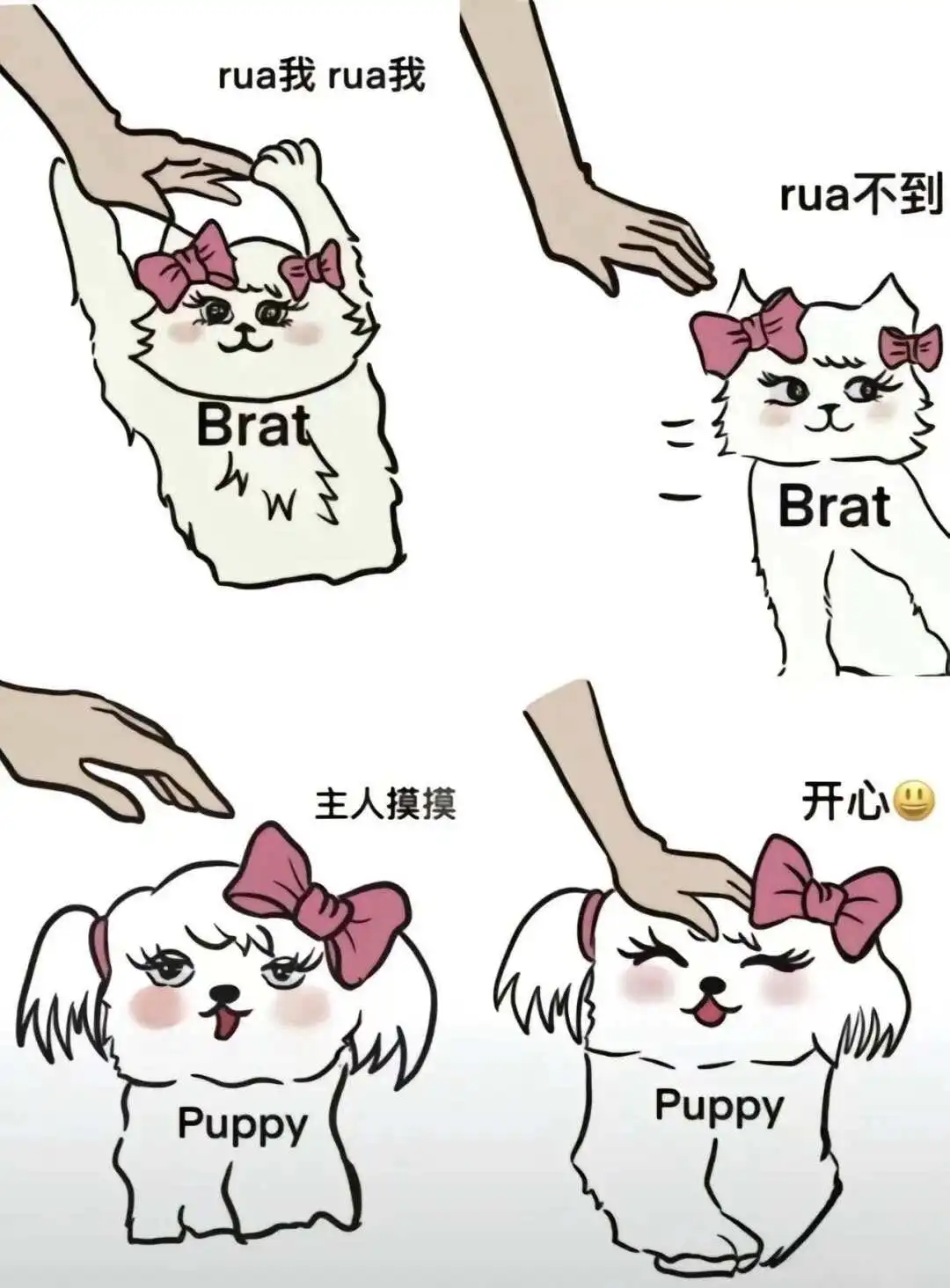 西檬之家-字母圈BDSM核心术语解析