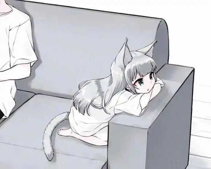 西檬之家-k8猫系：字母圈新人如何理解猫奴属性？