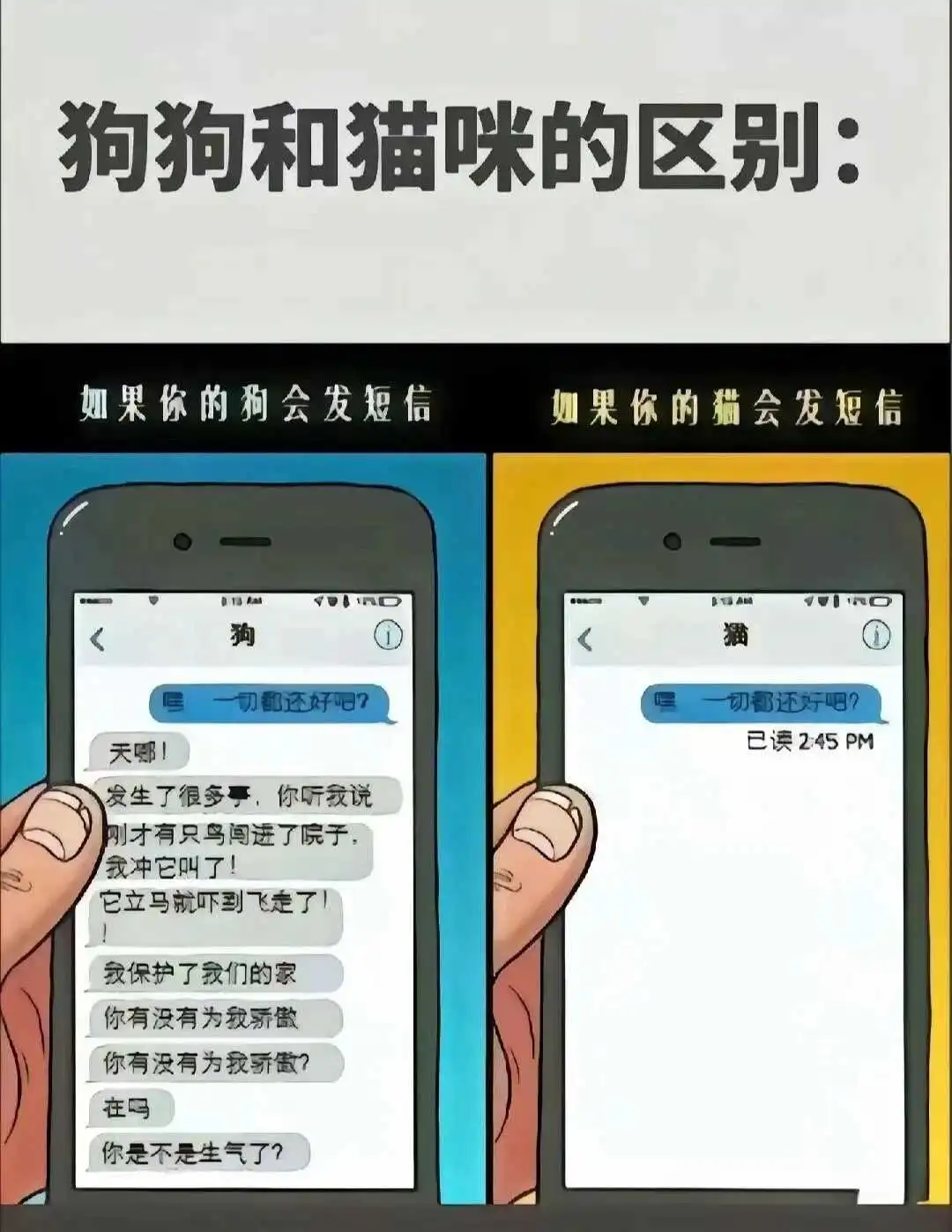 【西檬之家】TK玩法解析：BDSM中的挠痒互动指南