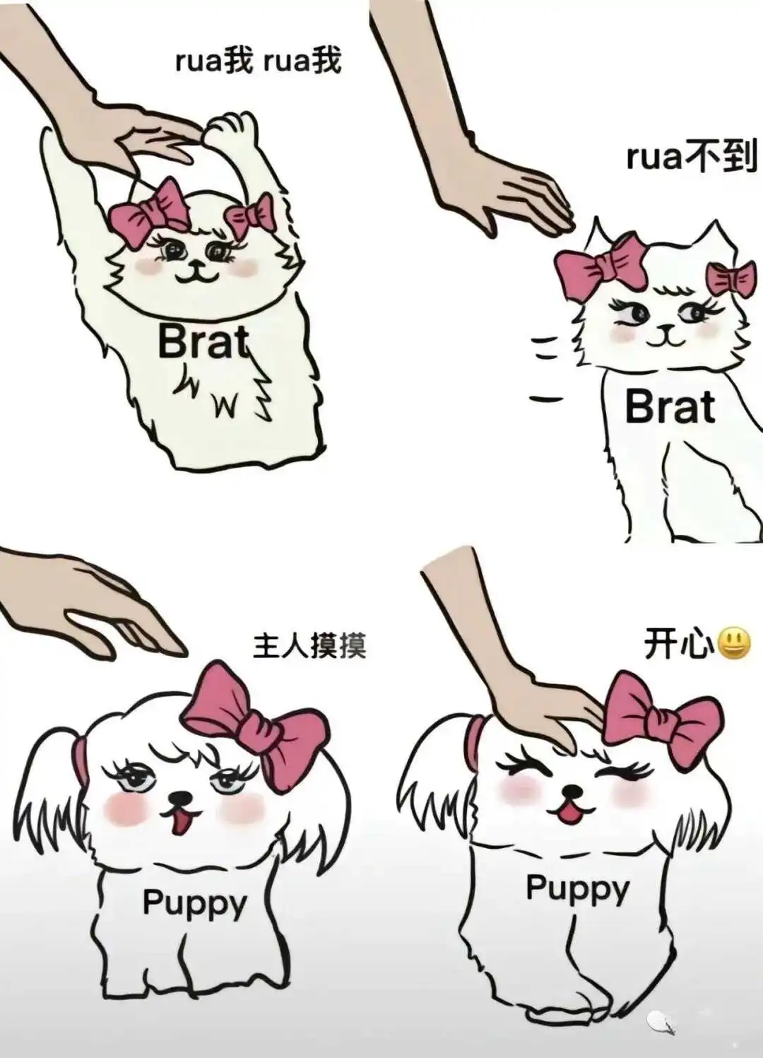 西檬之家-字母圈的DT是什么意思？