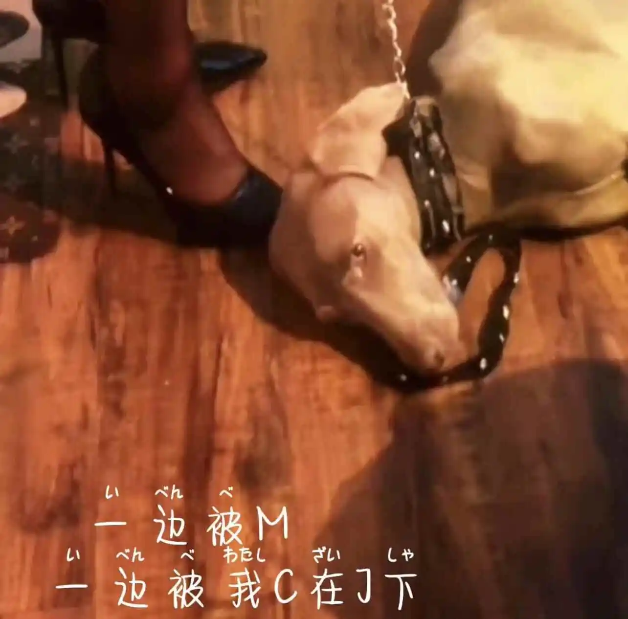 西檬之家-字母圈圣水玩法入门指南