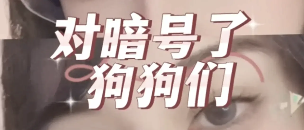 【西檬之家】Sp是什么？BDSM小圈新人权威入门指南