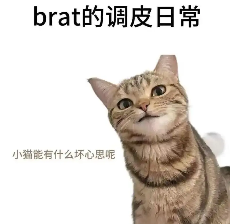 西檬之家-M是什么意思？你的字母圈属性是什么？