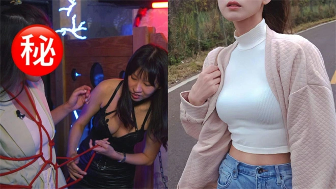 【西檬之家】k8猫系是什么意思？字母圈新人必备的K8与K9概念解析
